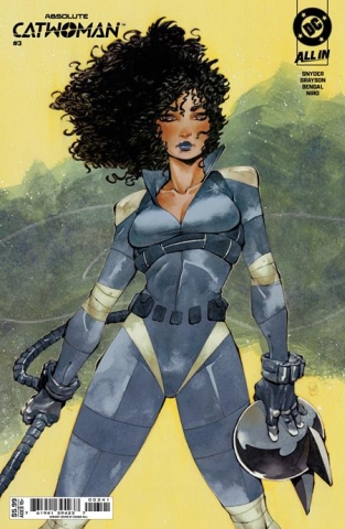 ABSOLUTE CATWOMAN #3 (of 6) CVR D CHUMA HILL cover image