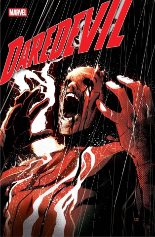 DAREDEVIL #5 cover image