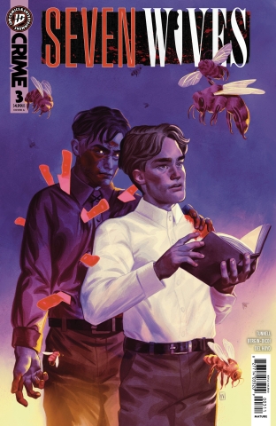 SEVEN WIVES #3 cover image
