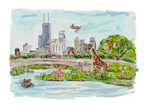 Rachel Reynolds Art Print 8x10: Lincoln Park Zoo cover image