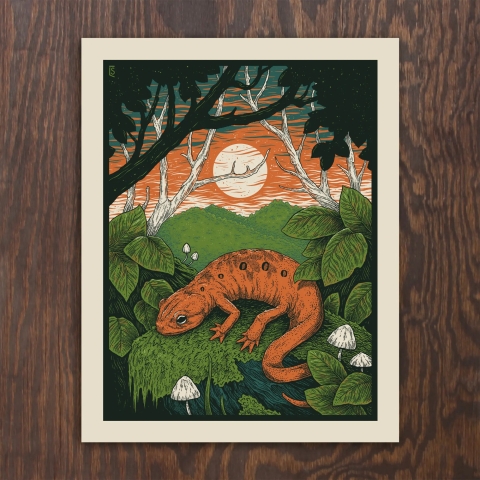 Logan Schmitt Art Print 11x14: Red Eft Sunset cover image