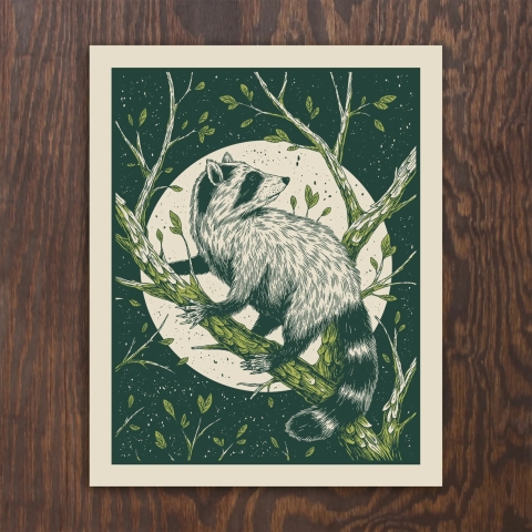 Logan Schmitt Art Print 8x10: Raccoon cover image