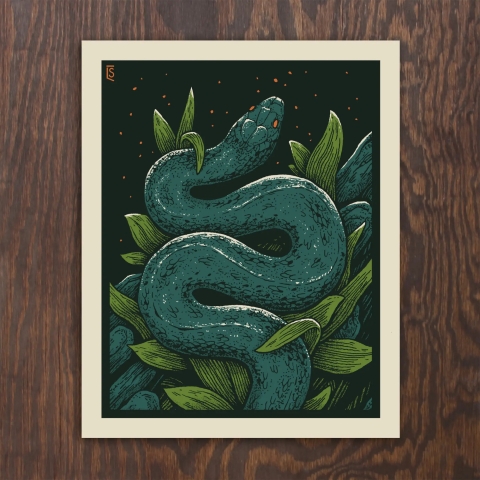 Logan Schmitt Art Print 8x10: Starlight Snake cover image