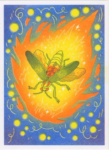 Altargokart Risograph 5x7: Firefly cover image