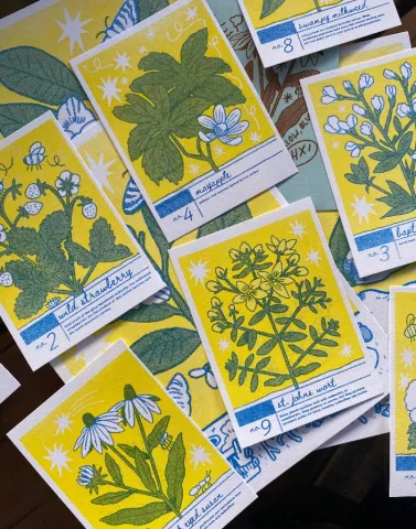 Altargokart Risograph Plant Trading Cards cover image