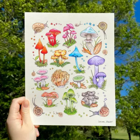 Allison Stoiser Art Print 8x10: Rainbow Mushrooms and Snails cover image