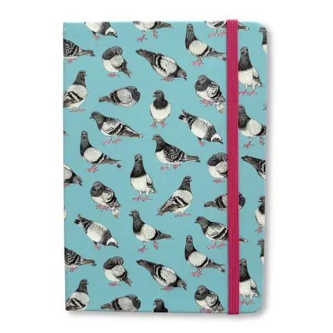 Allison Stoiser Journal: Pigeon Promenade cover image