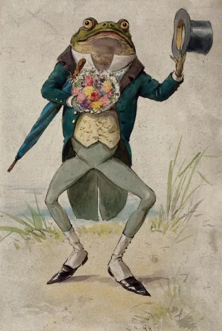 Rock Paper Scissors Wall Art 8x10: George Hope Tait — Toad in Morning Dress (1900) cover image