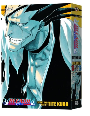 BLEACH 3IN1 TP VOL 05 cover image