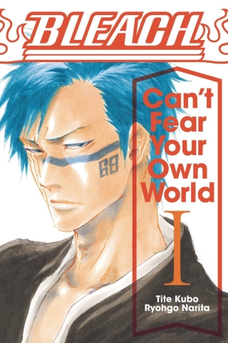 BLEACH CANT FEAR YOUR OWN WORLD LIGHT NOVEL SC VOL 01 cover image