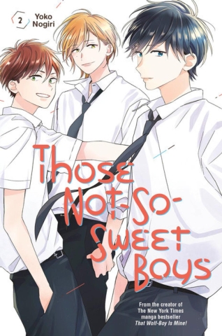 Those Not-So-Sweet Boys Vol. 2 cover image