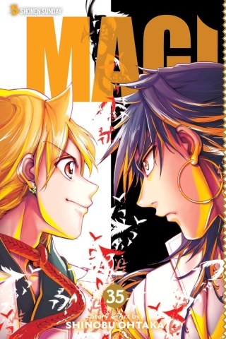 Magi: The Labyrinth of Magic Vol. 35 cover image