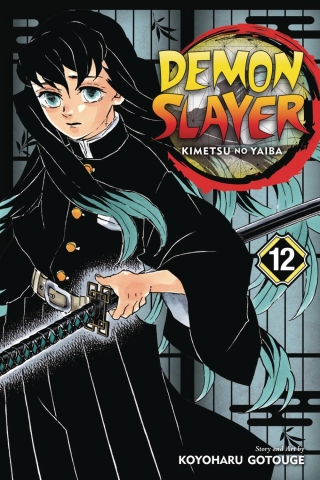 Demon Slayer: Kimetsu no Yaiba Vol. 12 cover image