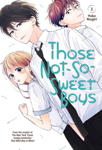 Those Not-So-Sweet Boys Vol. 3 cover image