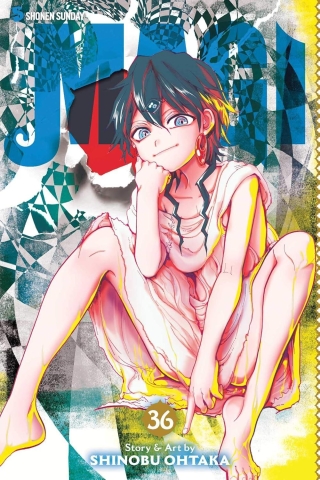 Magi: The Labyrinth of Magic Vol. 36 cover image
