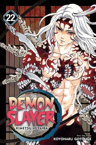 Demon Slayer: Kimetsu no Yaiba Vol. 22 cover image