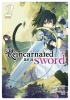 REINCARNATED AS A SWORD LIGHT NOVEL SC VOL 02 cover image