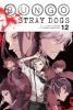 Bungo Stray Dogs Vol. 12 cover image
