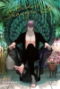Birds of Shangri-La Vol. 2 cover image