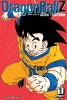DRAGON BALL Z VIZBIG ED TP 01 (OF 9) cover image