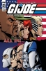 GI JOE A REAL AMERICAN HERO #300 VAR D MCKEOWN cover image