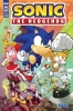 SONIC THE HEDGEHOG #60 COVER A HAMMERSTROM CVR A cover image