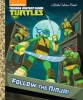Follow the Ninja! (Teenage Mutant Ninja Turtles) Little Golden Book cover image