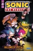 SONIC THE HEDGEHOG HALLOWEEN SPECIAL VAR B DUTREIX CVR B cover image