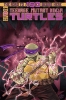 TEENAGE MUTANT NINJA TURTLES #145 COVER A FEDRICI CVR A cover image