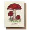 Small Victories - Fly Agaric Mushroom Plantable Wildflower Seed Card cover image