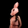 PaperCraft Bunny Rabbit 3D Origami Mask cover image