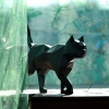 PaperCraft Black Cat 3D Origami Model cover image