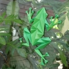 PaperCraft Frog 3D Origami Wall Art cover image