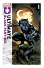 ULTIMATE BLACK PANTHER #1 CVR A cover image