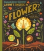 What's Inside A Flower? cover image