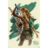 Zelda: Tears of Kingdom - Link 24x36 Poster cover image