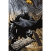 Batman: Night Stalker 24x36 Poster cover image