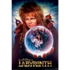 Labyrinth 24x36 Poster cover image