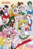 Sailor Moon: Love and Justice 24x36 Poster cover image