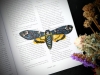 Little Black Bats - Death Head Moth Bookmark cover image