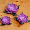 PaperCraft Lotus 3D Origami Model cover image