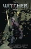 The Witcher Omnibus Vol. 1 cover image