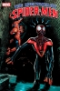 THE SPECTACULAR SPIDER-MEN #2 CVR A cover image