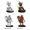 Dungeons & Dragons: Nolzur's Marvelous Miniatures - Human Druid (Male) cover image