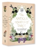 The Antique Anatomy Tarot Kit: Deck and Guidebook for the Modern Reader cover image
