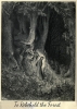 To Rebehold the Forest cover image