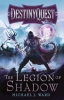 DestinyQuest Book 1: The Legion Of Shadow cover image