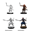 Dungeons & Dragons: Nolzur's Marvelous Miniatures - Bandits cover image