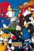 Sonic vs Dr. Eggman 24x36 Poster cover image