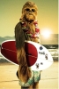 Star Wars: Chewie and Surfboard 24x36 Poster cover image